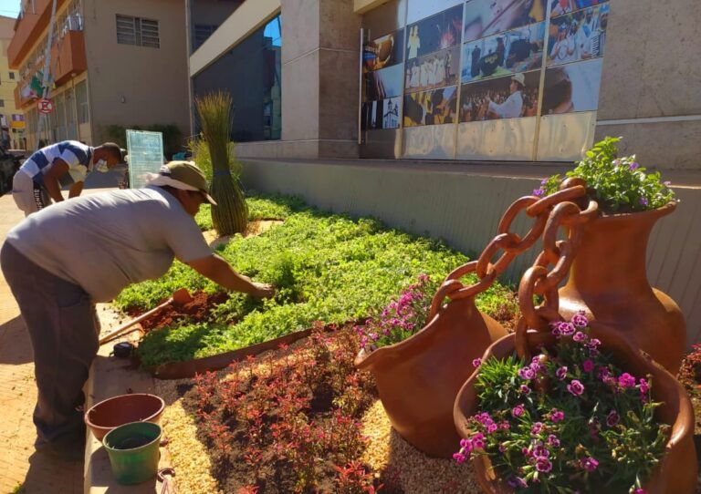 Centro Cultural tem novo jardim com designer moderno